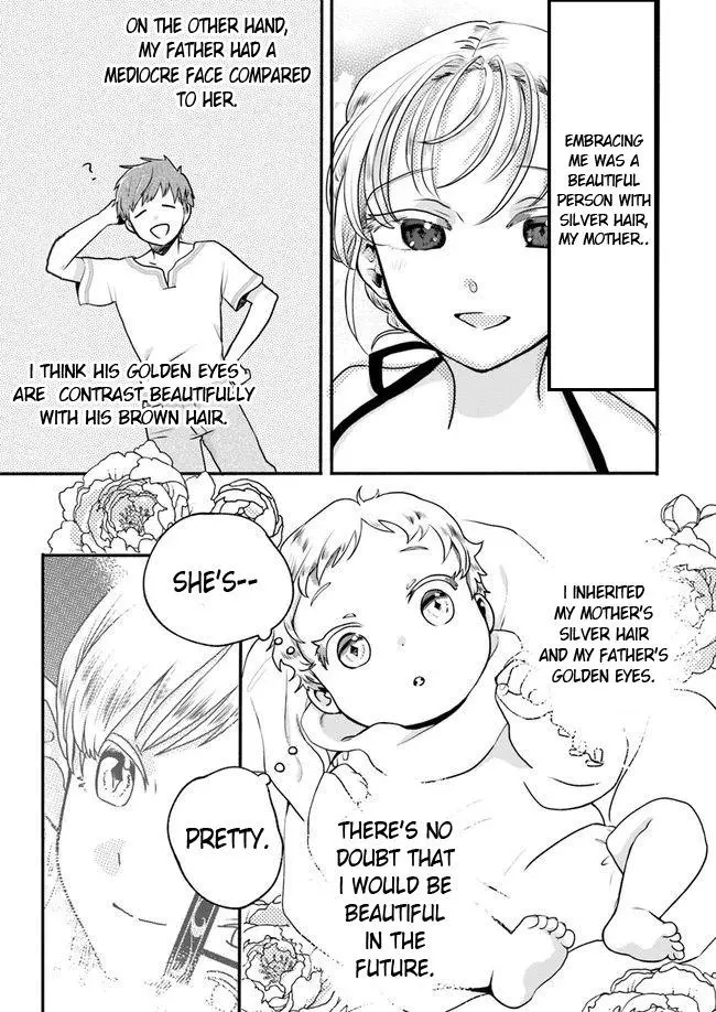 Honobo no Isekai Tensei Days ~ Level Counter, Item Mochi Goshi! Watashi wa Saikyou Youjo desu~ - Chapter 1 - Page 20