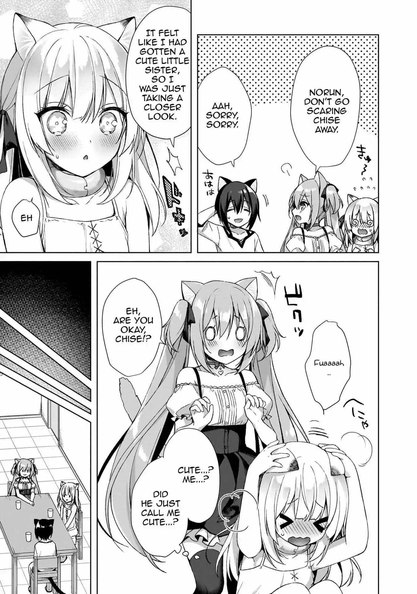 My Ideal Life in Another World ~Reincarnated in another world with a harem of animal-eared girls~ - Chapter 3 - Page 5
