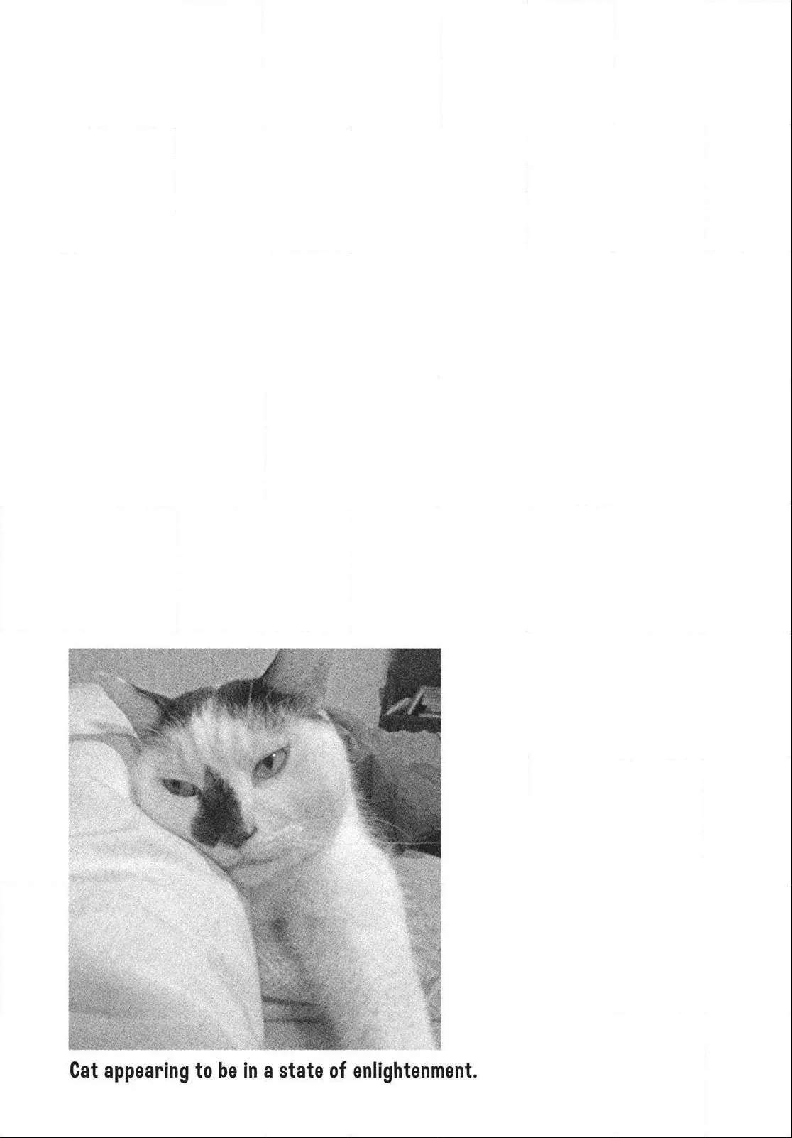 With a Dog AND a Cat, Every Day Is Fun - Chapter 1 - Page 104